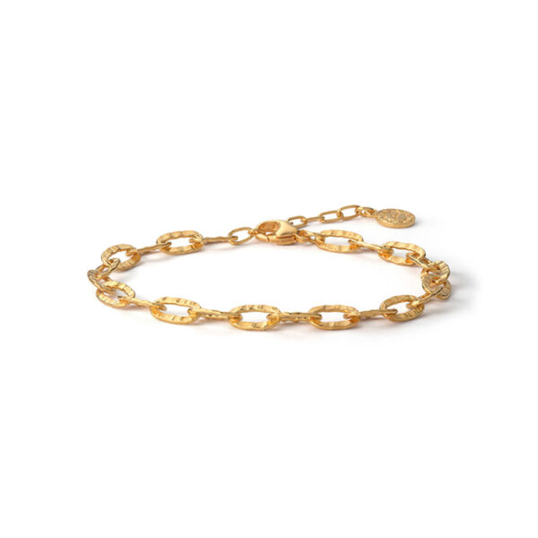 Sana 18K Yellow Gold Plated Flat Chain Bracelet