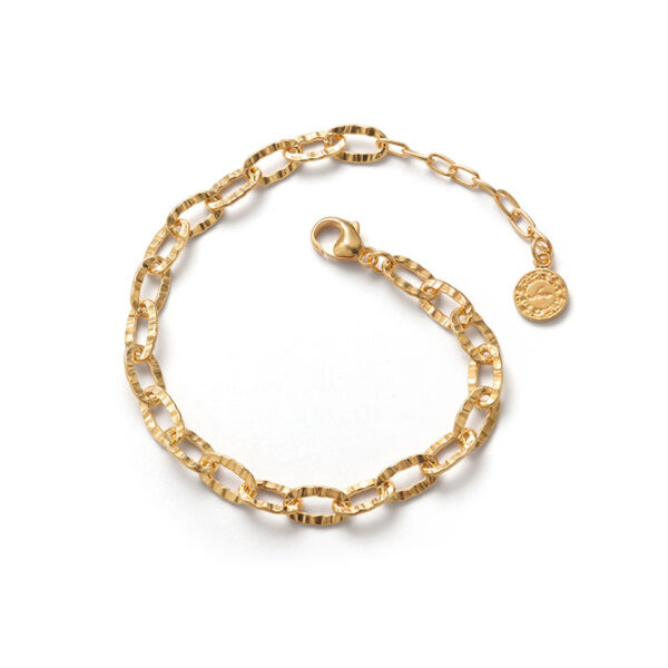 Sana 18K Yellow Gold Plated Flat Chain Bracelet - Image 2